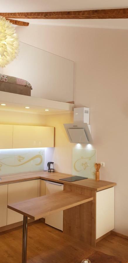 Fiumanka Apartment Rijeka Bagian luar foto